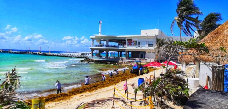 RECONOCE MARINA INCREMENTO DE RECALE DE SARGAZO EN PLAYA; PRONOSTICA CONTINUE TENDENCIA.