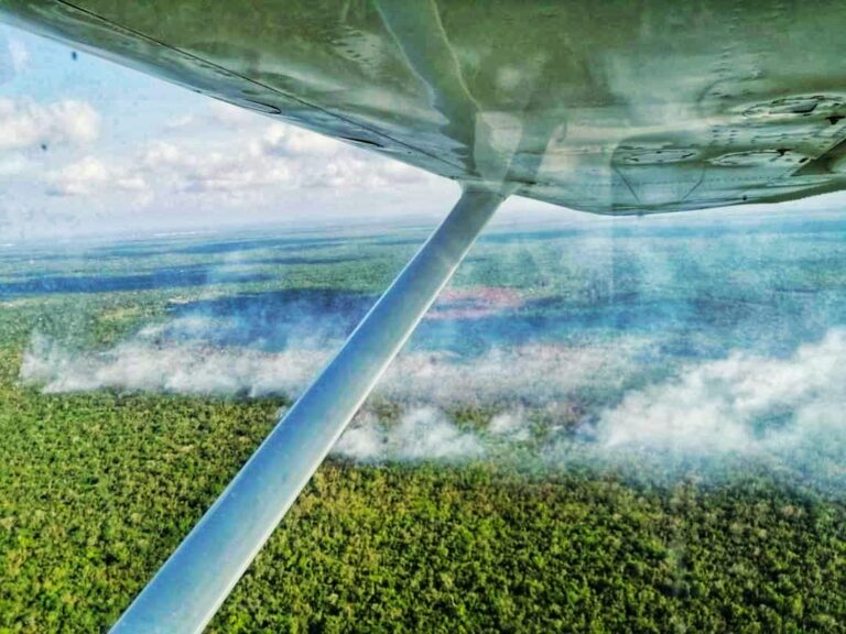 Antonio Ramos Pérez, conocido activista social especializado en temas de Transparencia y Rendición de Cuentas, hizo publicas las imágenes en sus redes sociales evidenciando el peligro de la flora, fauna y población humana en la geografía local, señalando la posibilidad de que las zonas siniestradas estén siendo desarrolladas por empresas inmobiliarias en próximas fechas.