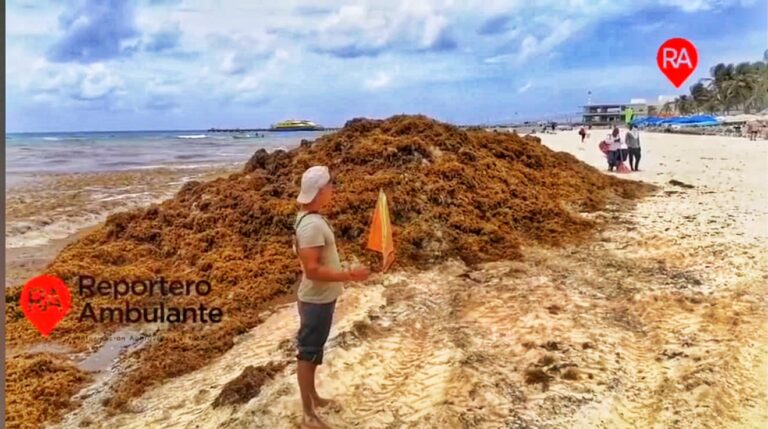 La Secretaría de Marina advirtió que durante la segunda semana de junio 2021 el Caribe mexicano se verá muy afectado el recale masivo de sargazo, ya que se han detectado tres concentraciones de esta macroalga que estarán llegando a las costas del estado de Quintana Roo, por lo que han activado el monitoreo continuo para ir diagnosticando el impacto de la arribazón diariamente.