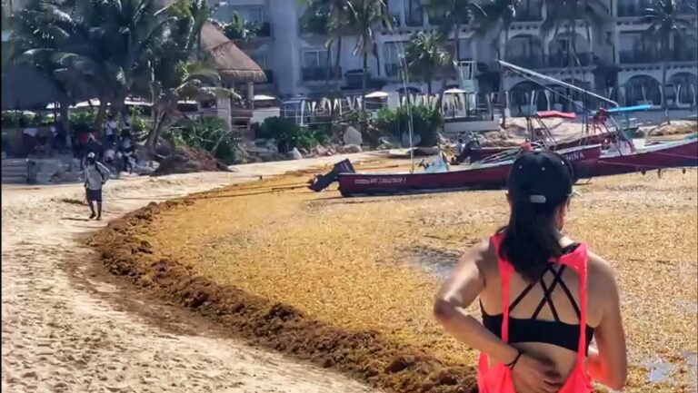 Señala el Consejo Coordinador Empresarial de la Riviera Maya afectó nuevamente las actividades turísticas y náuticas que operan en la costa centro de Playa del Carmen durante el pasado fin de semana, subrayando desprendimientos de la red "antialgas" que instaló la Marina.