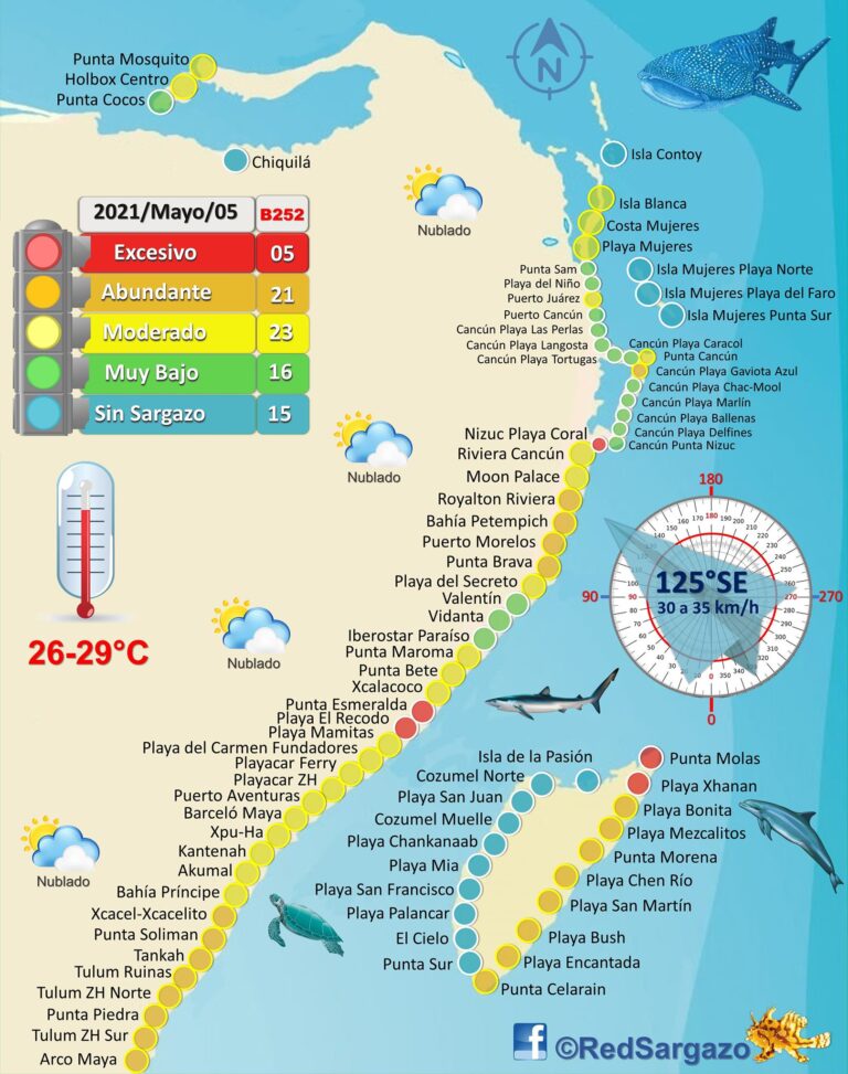 La Red de Monitoreo de Sargazo Cancún informó mediante sus redes sociales que este 5 de mayo 2021, se diagnosticaron 5 puntos rojos por el recale masivo de la macroalga en el litoral del estado de Quintana Roo, los de mayor cantidad registrados durante la temporada del presente año.