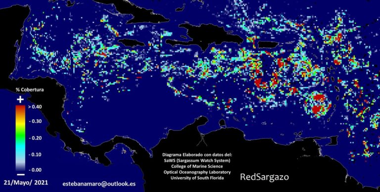Junio, julio y agosto se proyecta que sean los meses de mayor recale excesivo de sargazo del 2021 en el Caribe, afectando directamente a las costas del estado de Quintana Roo, según proyecciones en base al seguimiento de satélites interpretados por especialistas, quienes aseguran que la intensidad del fenómeno se adelantó por dos meses y va en aumento.