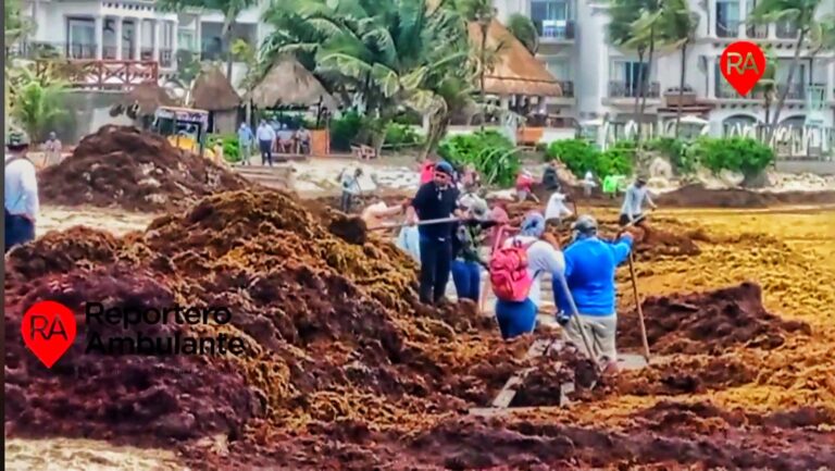 CONVERTIR SARGAZO EN BIOGÁS; OPCIÓN MÁS ADECUADA PARA CARIBE MEXICANO