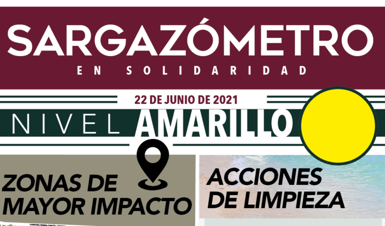 Nivel Amarillo🟡 🔸Total recolectado en junio: 2 mil 808.93 toneladas 🔸Acciones de limpieza: 120 recolectores manuales y maquinaria ligera 🔸Zonas de Impacto: Playa Playacar Playa Calle 12 Playa Diablito Playa Xcalacoco Playa 88 Playa Punta Esmeralda