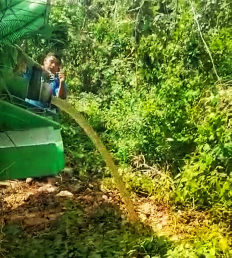 EXIGEN REPARACIÓN DE DAÑO POR ECOCIDIO DE AGUAS NEGRAS EN TULUM