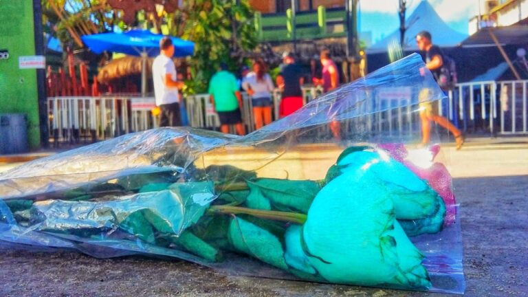 A 5 AÑOS DEL BLUE PARROT