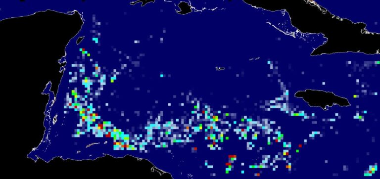 PRONOSTICAN FUERTE RECALE DE SARGAZO EN QUINTANA ROO; COMIENZAN TARDE CON BARRERAS