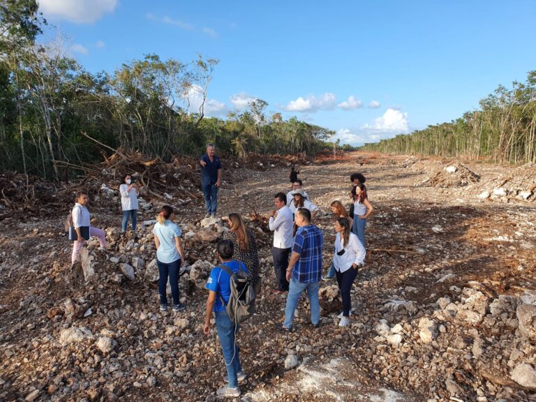 RECORREN SENADORES IMPACTO DE TREN MAYA EN QUINTANA ROO
