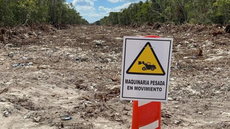 EXIGEN PARAR DEVASTACIÓN DE SELVA POR TREN MAYA