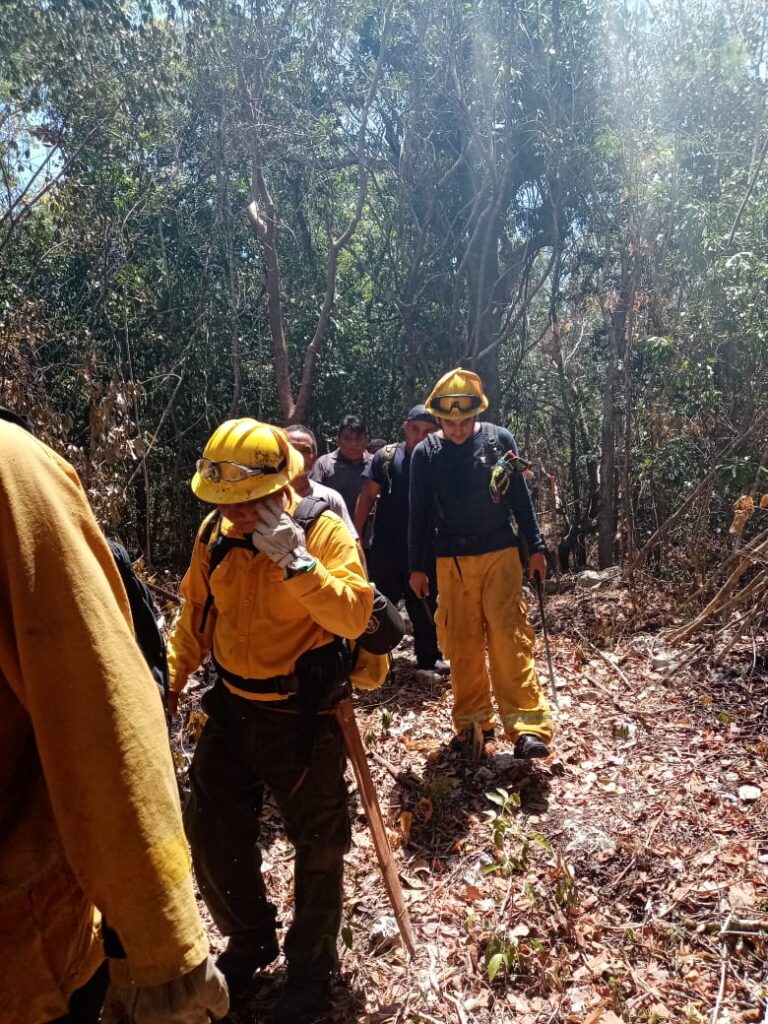 Elementos de la CONAFOR y Protección Civil combaten incendios en Quintana Roo