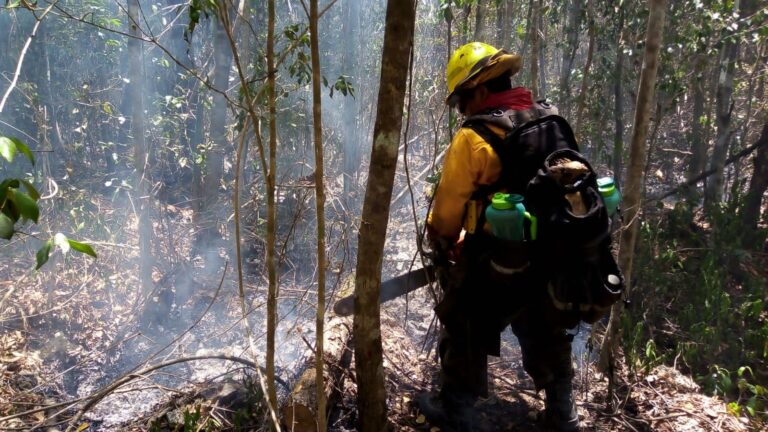 BUSCAN A CULPABLES DE INCENDIOS, PROFEPA INHABILITARÍA CONSTRUIR EN TERRENOS