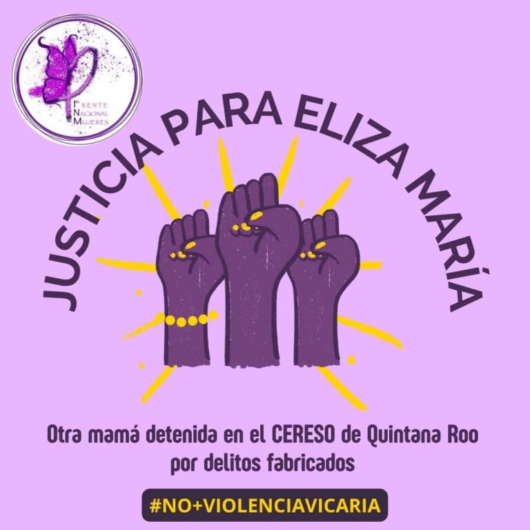 DENUNCIAN CASO DE VIOLENCIA VICARIA CON PRESUNTA CORRUPCIÓN ENTRE QUINTANA ROO Y VERACRUZ