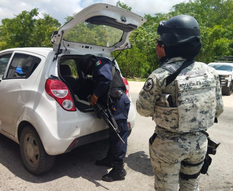 Clausuras, detenciones y decomisos durante el fin de semana