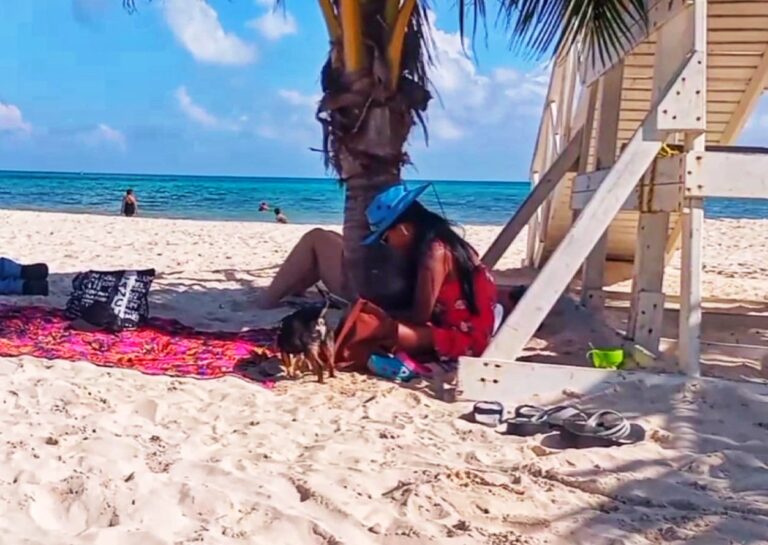 ANALIZAN AUTORIZAR “PLAYA PARA MASCOTAS”