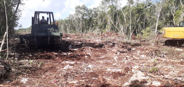 SUSPENDEN LEGALMENTE PARTE DE LAS OBRAS DE TREN MAYA