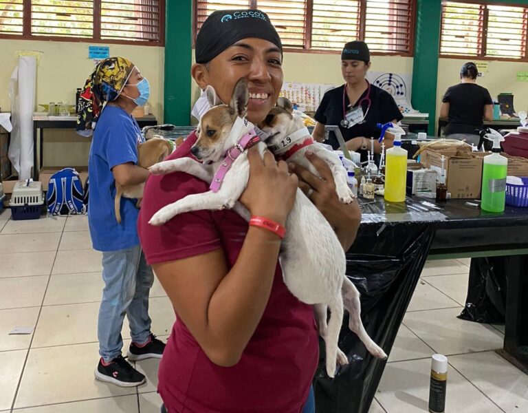 INICIA 3ª CAMPAÑA DE ESTERILIZACIÓN GRATUITA DE PERROS Y GATOS EN PLAYA DEL CARMEN