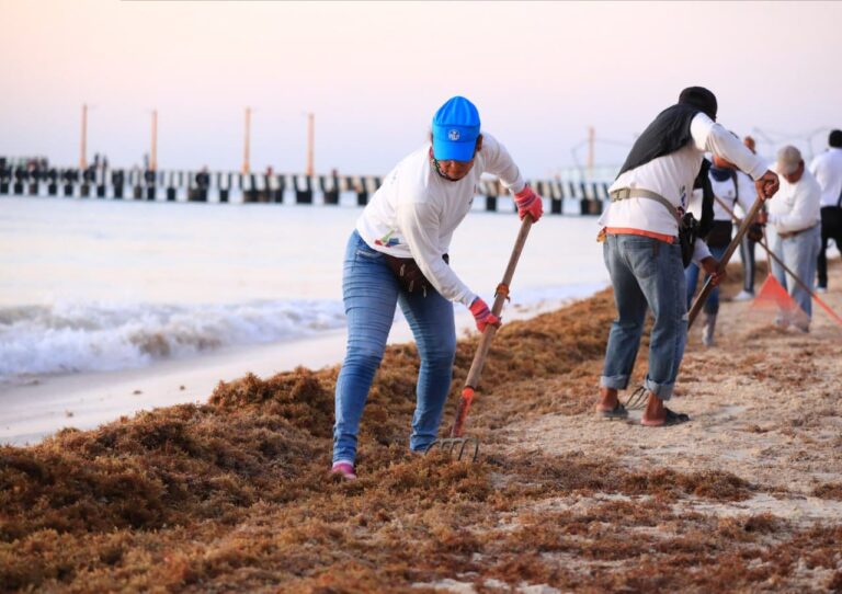 Priorizan limpieza de playas en Solidaridad