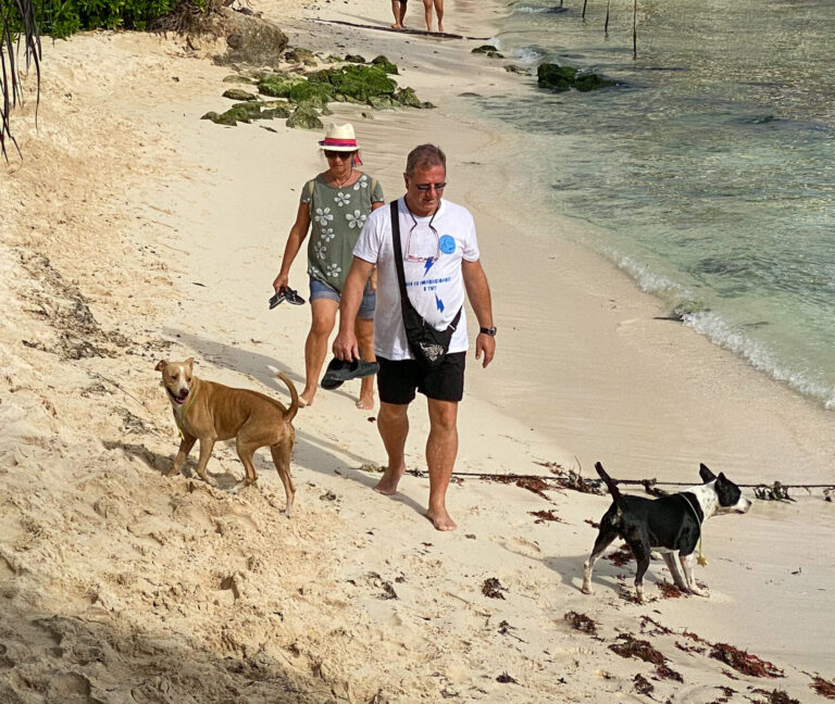 RECLAMAN CONTAMINACIÓN POR PERROS EN LAS PLAYAS
