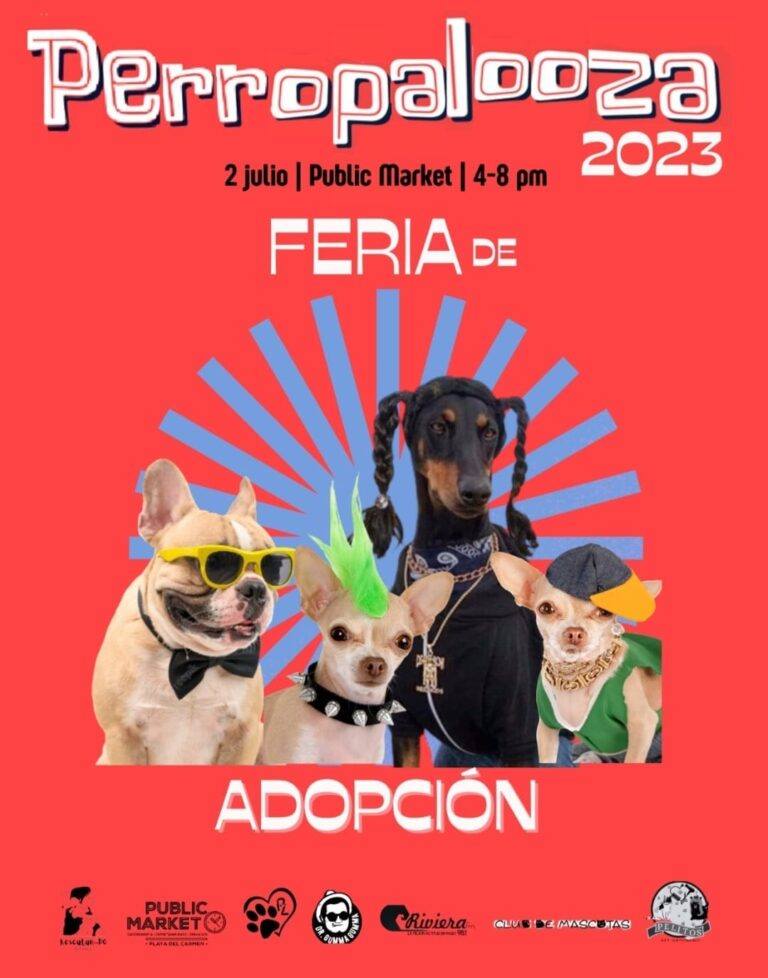 ¡INVITAN A FERIA DE ADOPCIONES PERROPALOOZA 2023!