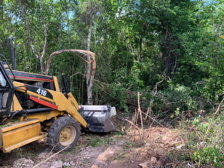 RECLAMAN “PULMÓN VERDE” VECINOS DE LAS PERLAS; NO QUIEREN DEPORTIVO
