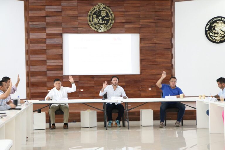 • Se revisa en Comisión de Movilidad más paraderos, fluidez en ciclovías, pasos peatonales y estacionamiento para personas con discapacidad