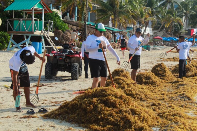 RECOLECTAN 700 KILOS DURANTE 1ª JORNADA “EL SARGAZO NOS UNE”