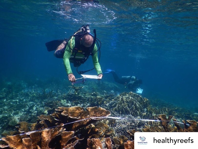 Fotos: Healty Reefs Initiave