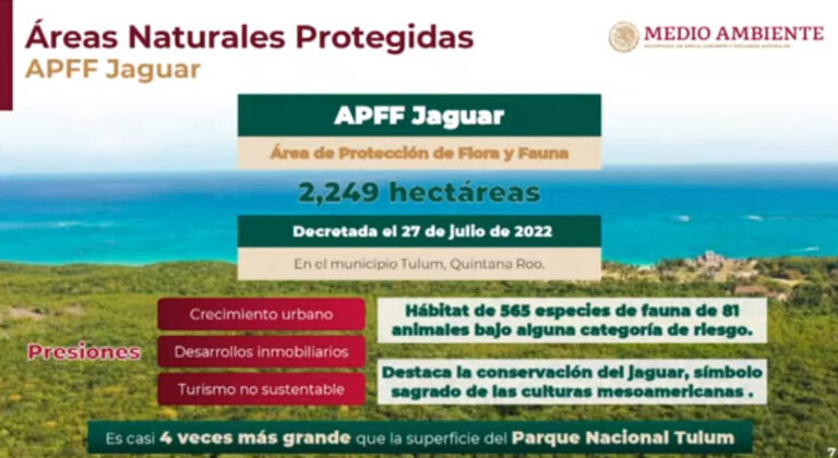 SE HAN DECRETADO 21 ANP; SE PROYECTAN SERÁN 43 EN EL SEXENIO: SEMARNAT