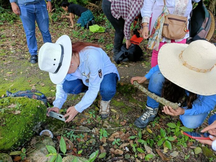 -Encontraron al menos 10 especies que muy probablemente sean nuevas para la ciencia