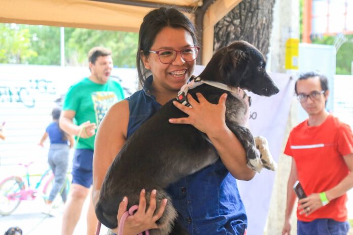 • Más de 100 personas con sus caninos recorrieron la 5ª Avenida realizando actividades diversas, promoviendo la actividad física y la integración de sus mascotas