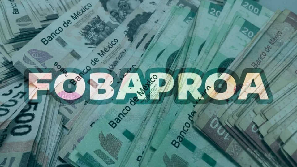 HERENCIA DEL FOBAPROA, 1 DE CADA 10 PESOS DE LA DEUDA INTERNA