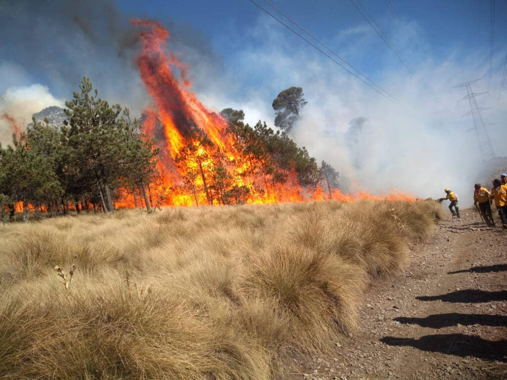 14 ESTADOS AFECTADOS POR INCENDIOS AL INICIO DE SEMANA SANTA