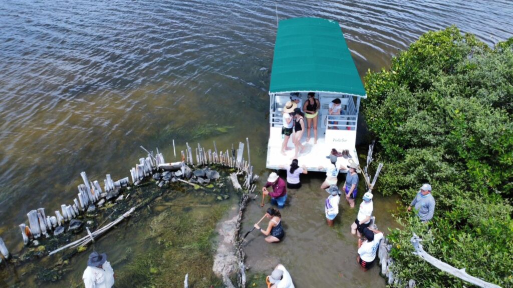 “Planet Patrol” visita Punta Sur para conocer los trabajos de restauración de manglar