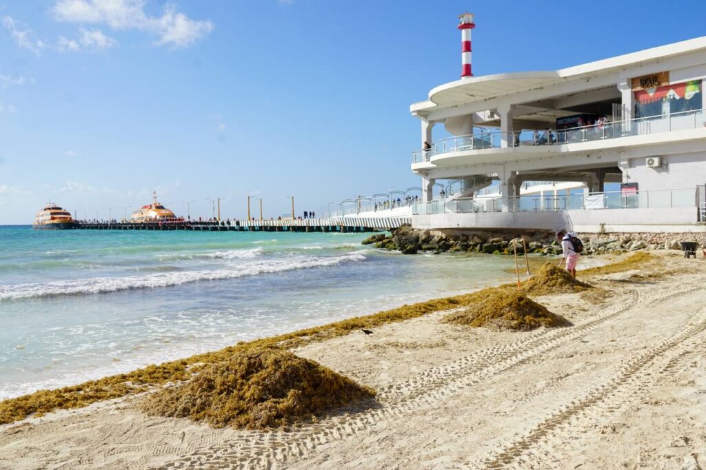 CONDICIONES DE LAS PLAYAS CON EL SEMÁFORO DE SARGAZO