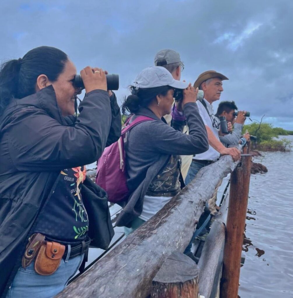 INVITAN A LA COMUNIDAD PARA OBSERVACIÓN DE AVES EN PUNTA SUR