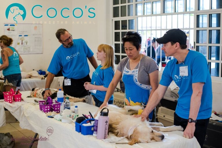 PROGRAMAN ESTERILIZACIÓN GRATUITA DE PERROS Y GATOS
