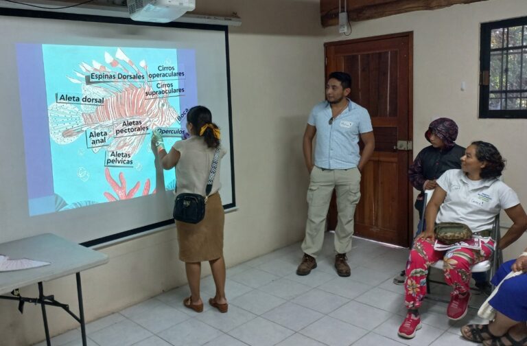 Actualizan sobre la amenaza del Pez León en Caribe Mexicano y capacitan a mujeres en comunicación