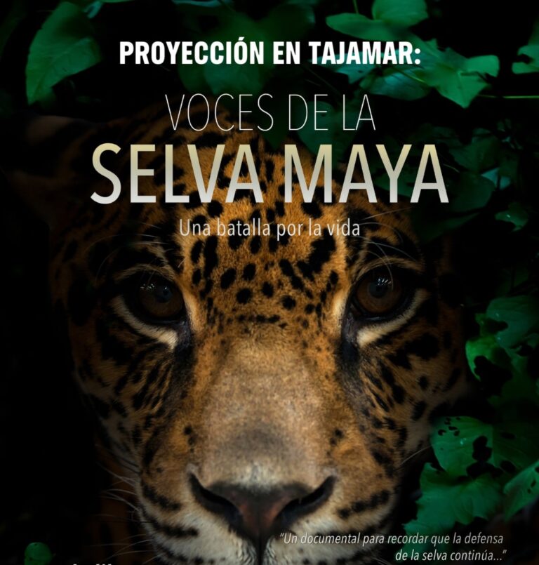 “Voces de la Selva Maya” se proyectará en Tajamar, símbolo de la lucha ambiental en Cancún