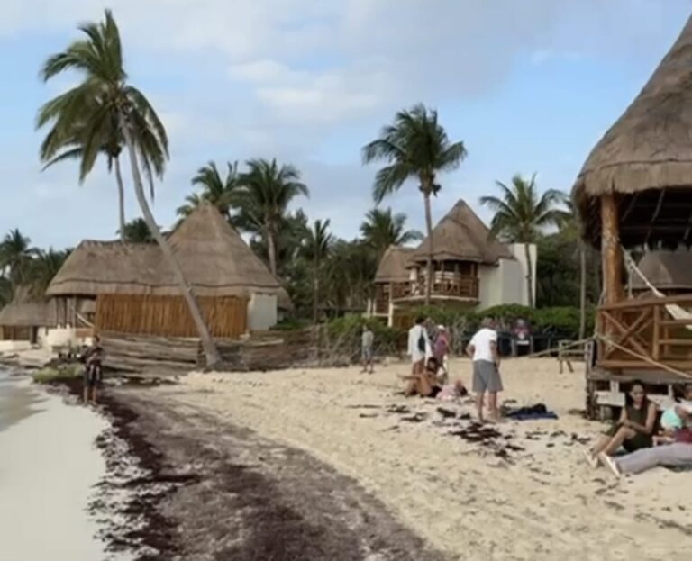 🚨DENUNCIA CIUDADANA: 🌊💀 Sospecha de Contaminación por Aguas Negras en la Playa de la Avenida 38