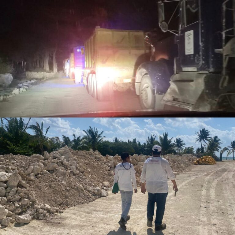 Investigan presunto relleno de manglar en Xcalacoco tras denuncia ciudadana