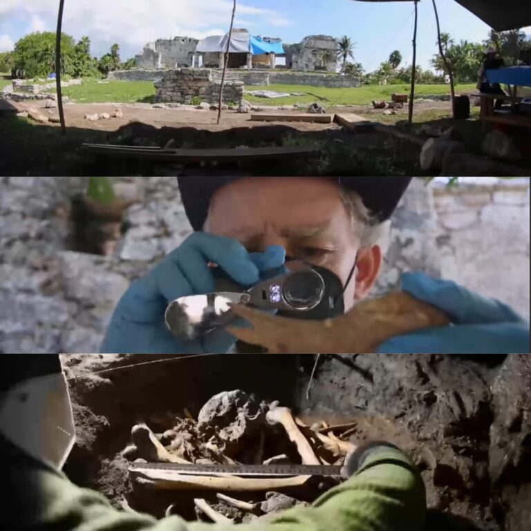 El hallazgo se dio durante los trabajos del programa PROMEZA-Tren Maya. Destaca la participación de Jerónimo Avilés Olguín, especialista del Grupo Espeleológico Ajau.