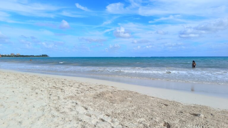 Playa 72, Xcalacoco y Montecarlo, las playas con menos sargazo para esta temporada alta