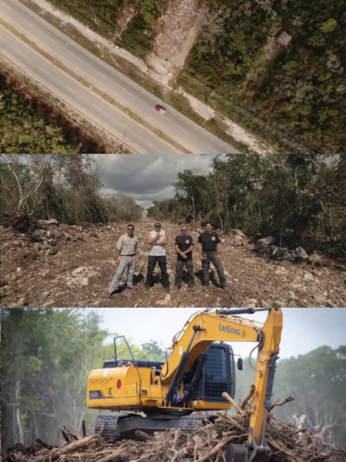 Selvame del Tren denuncia nueva tala ilegal de selva sobre el sistema Sac Actún en Quintana Roo