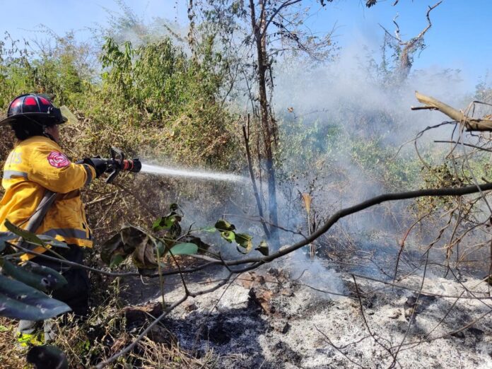 •En 10 días se han sofocado seis incendios en la misma zona gracias a la coordinación de Protección Civil y Bomberos