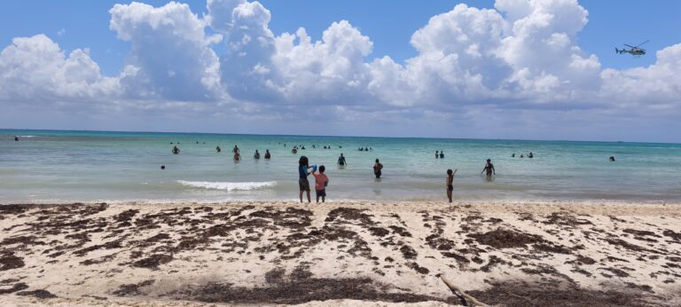 Playa del Carmen luce playas limpias, listas para las mejores postales del turismo
