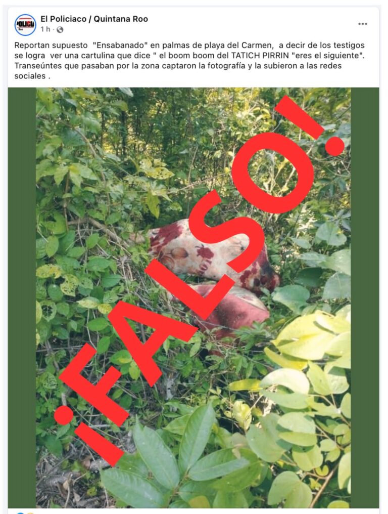 Falsa noticia sobre supuesto hallazgo en Palmas I