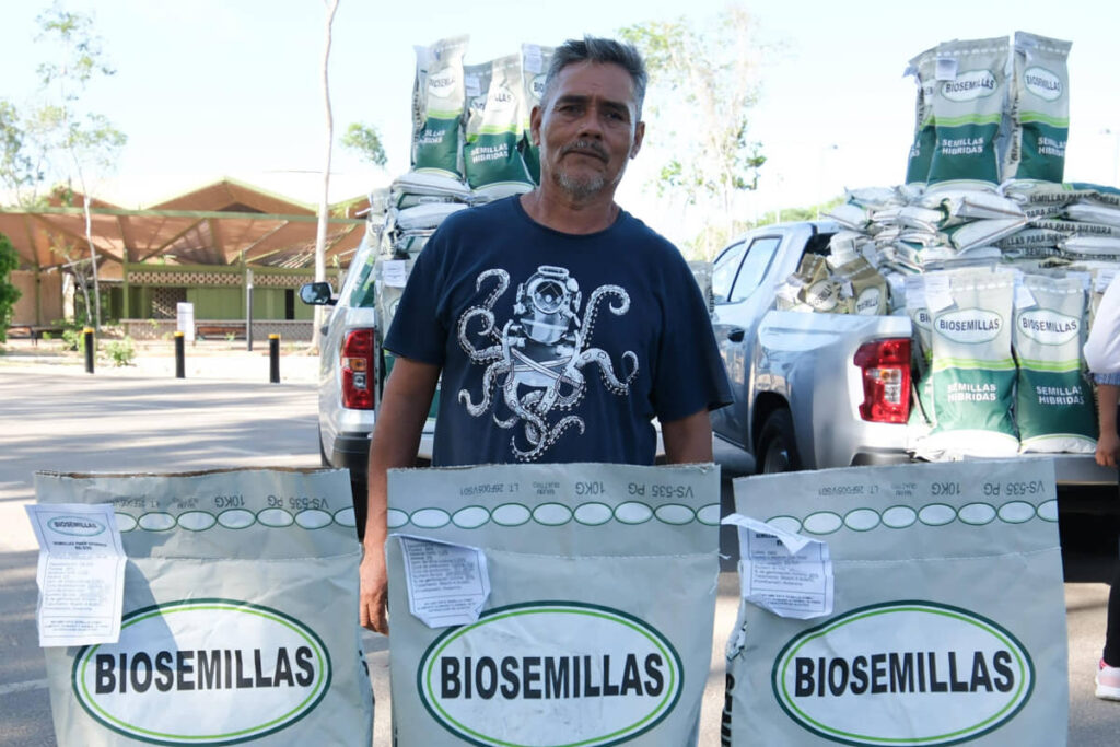 Entrega Mara Lezama 70 toneladas de semilla mejorada de maíz, en beneficio de casi mil 700 familias de municipios del sur