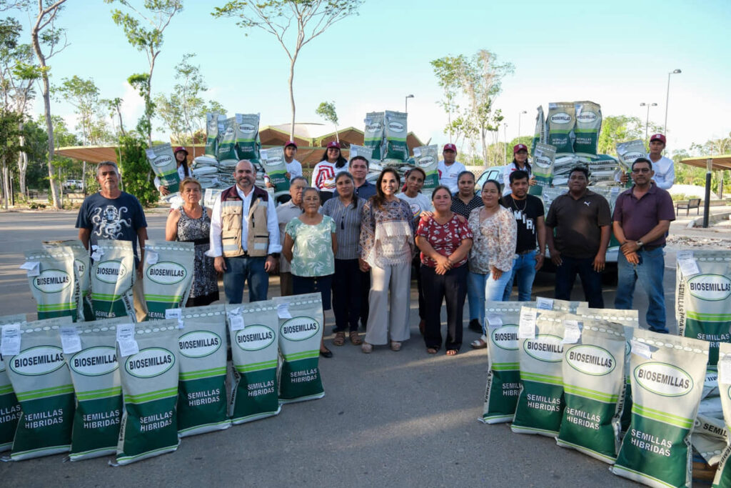 Entrega Mara Lezama 70 toneladas de semilla mejorada de maíz, en beneficio de casi mil 700 familias de municipios del sur