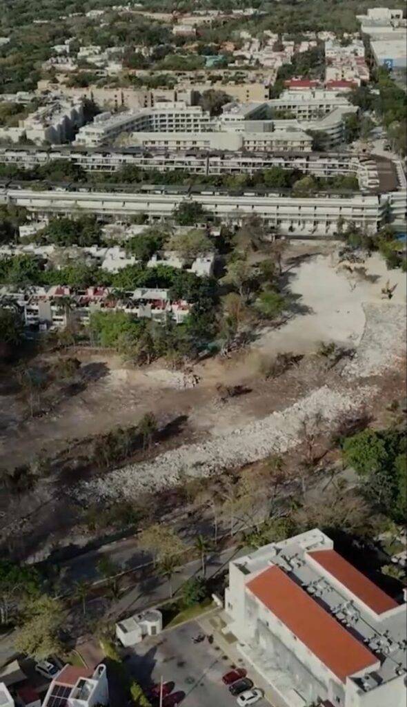 Moce Yax Cuxtal llama a frenar la corrupción y construir con la naturaleza en mente