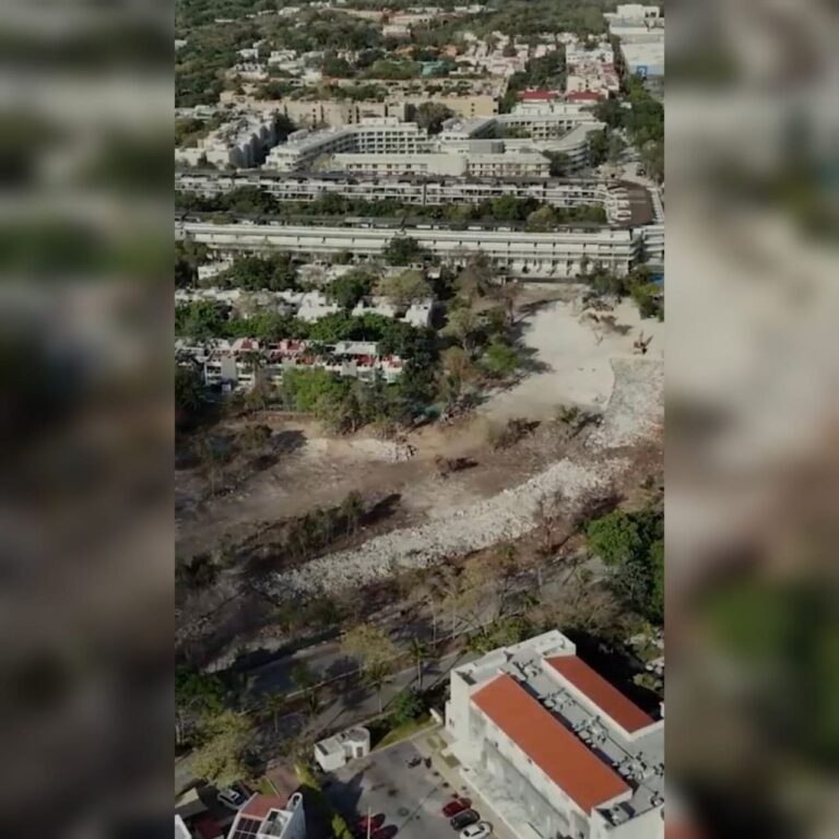 Moce Yax Cuxtal exige desarrollo sostenible en el Día del Medio Ambiente 2025